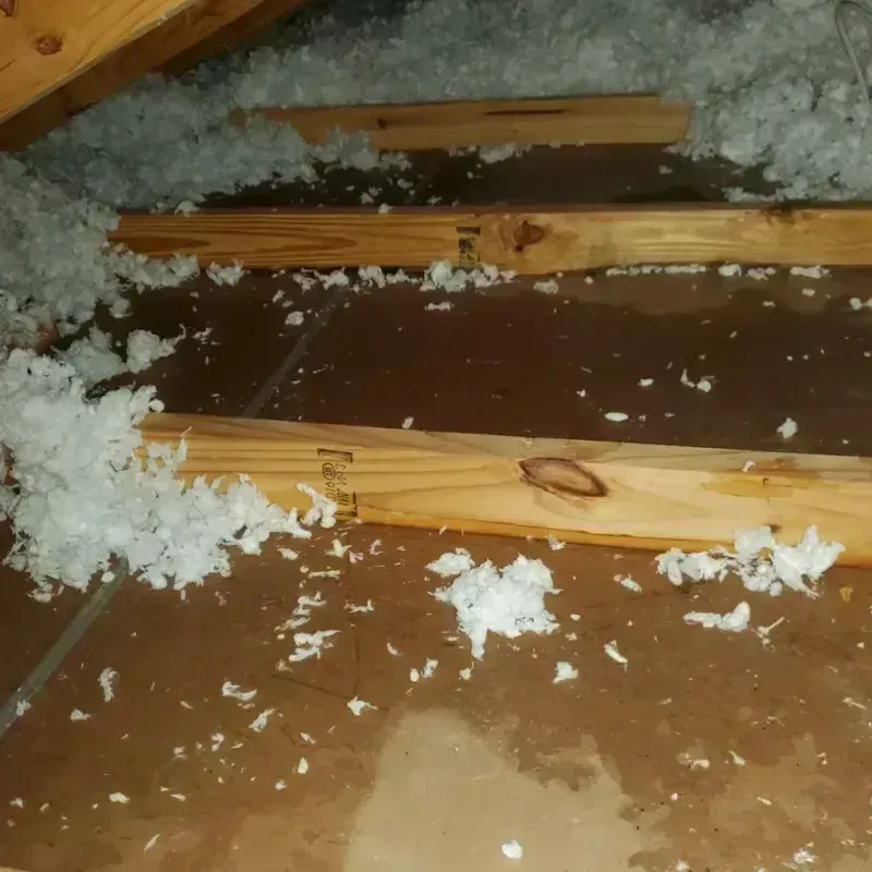 Attic Water Damage in Ada County, ID