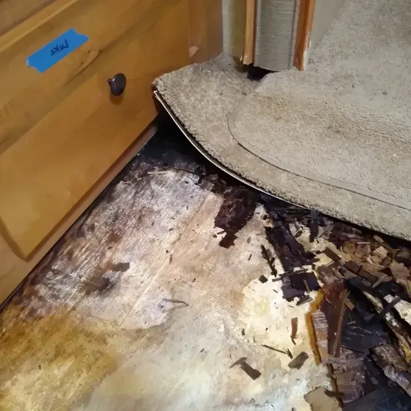 Wood Floor Water Damage in Ada County, ID